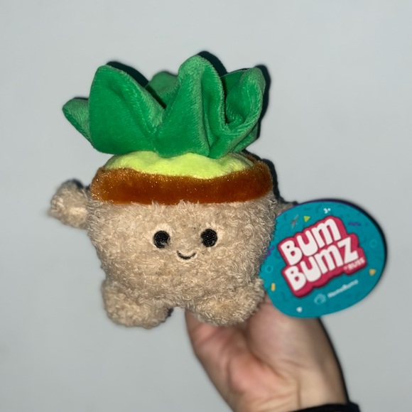 2 medium bumbumz. Set of plants 🪴: flower 🌸 and succulent 🌱 - Picture 2 of 4